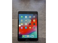 apple-ipad-mini-2-small-0