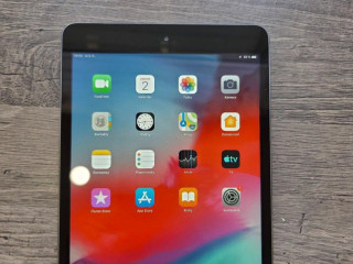 apple-ipad-mini-2