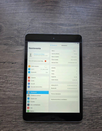 apple-ipad-mini-2-big-2