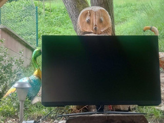 monitor-samsung