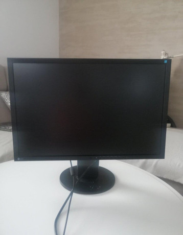 eizo-lcd-monitor-big-0