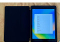 predam-apple-ipad-5-gen-small-0