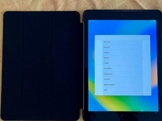 predam-apple-ipad-5-gen