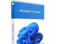 microsoft-windows-11-home-small-0