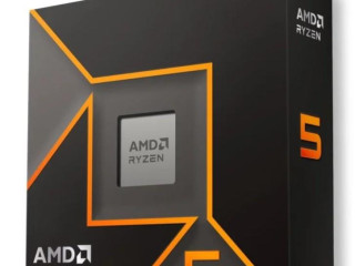 predam-amd-ryzen-5-9600x