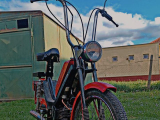 babeta-210