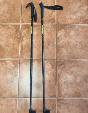 fischer-sprint-jr-detske-bezecke-palice-100-cm-big-0