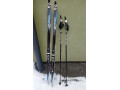 predam-bezky-a-palice-salomon-small-0