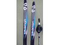 predam-bezky-a-palice-salomon-small-1