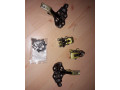 skialp-viazanie-atk-trofeo-horizontalna-sila-10vertikalna-8-small-0