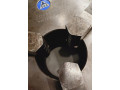 sklucovadlo-tos-2503-2-m1-small-2