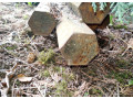 predam-tyc-sesthrannu-50-mm-dlzka-4-m-small-1