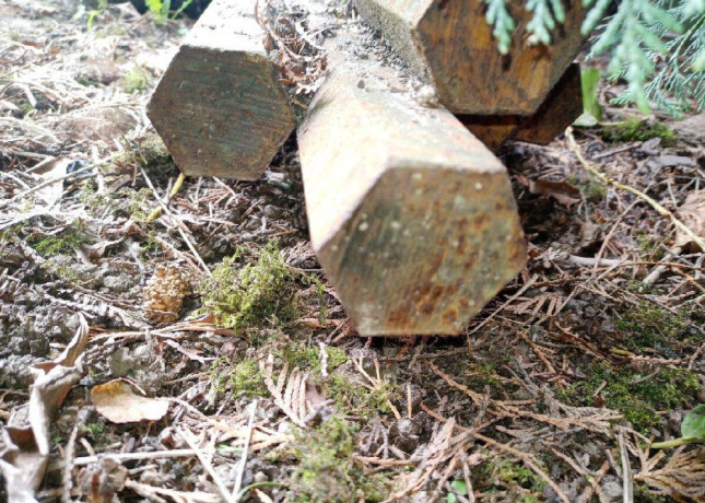 predam-tyc-sesthrannu-50-mm-dlzka-4-m-big-1