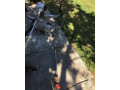 krovinorez-stihl-fs56-small-2