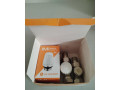 set-pre-radiator-small-0