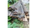 darujem-drevo-small-3