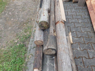 darujem-drevo