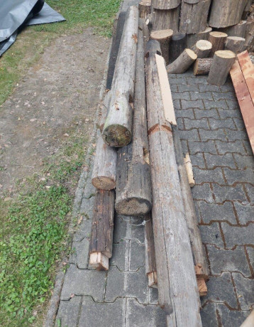 darujem-drevo-big-0