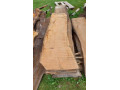 fosne-rezivo-ceresna-small-4