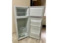 chladnicka-mora-s-mraznickou-small-1