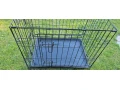 predam-klietku-small-1