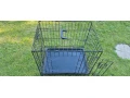 predam-klietku-small-2