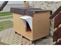 buda-pre-psa-small-2