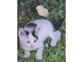 darujeme-maciatka-small-1