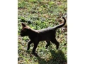 maciatka-small-0