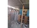 bacsky-letun-small-3