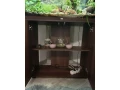 surne-small-3