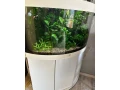 predam-akvarium-juwel-trigon-190-white-small-3