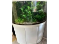 predam-akvarium-juwel-trigon-190-white-small-0