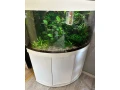 predam-akvarium-juwel-trigon-190-white-small-2