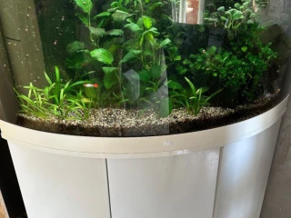 predam-akvarium-juwel-trigon-190-white