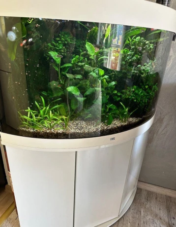 predam-akvarium-juwel-trigon-190-white-big-3