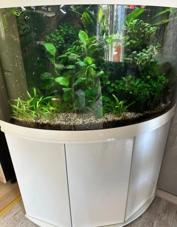 predam-akvarium-juwel-trigon-190-white-big-0