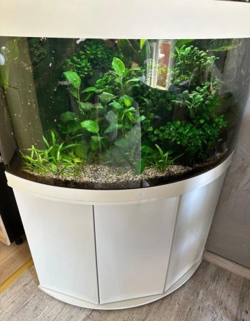 predam-akvarium-juwel-trigon-190-white-big-2