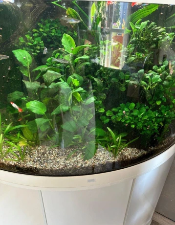 predam-akvarium-juwel-trigon-190-white-big-1