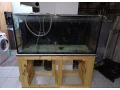 predam-akvarium-455l-small-1
