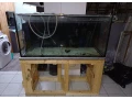 predam-akvarium-455l-small-0