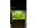 led-svetlo-juwel-small-1