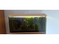 predam-akvarium-200l-small-0