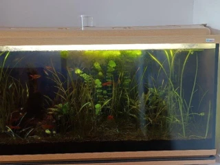 predam-akvarium-200l