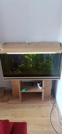 predam-akvarium-200l-big-1