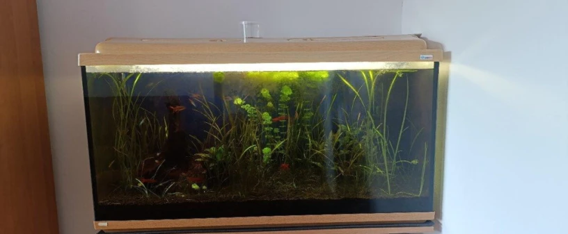 predam-akvarium-200l-big-0