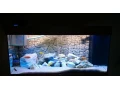 juwel-rio-180-uv-lampa-small-3