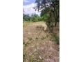 predam-baranov-small-3
