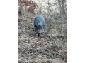 predam-prasnicu-small-1