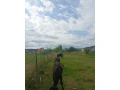 predam-bycka-small-1
